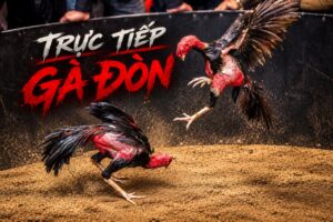 video-ga-don