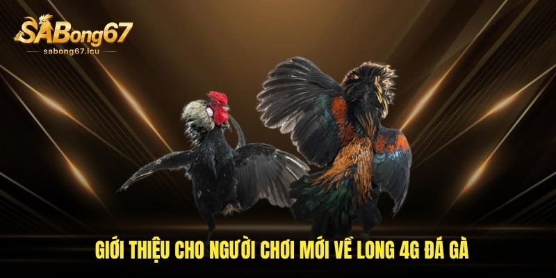 Giới thiệu cho người chơi mới về Long 4g đá gà