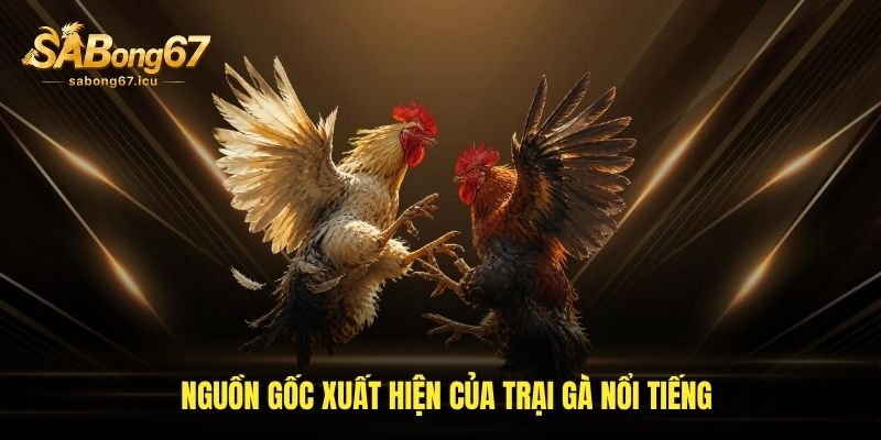 Nguồn gốc xuất hiện của trại gà nổi tiếng