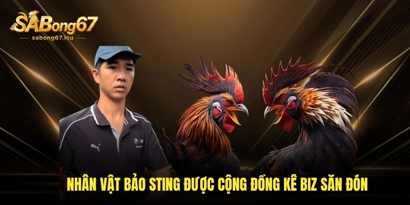 Nhân vật Bảo sting được cộng đồng kê biz săn đón