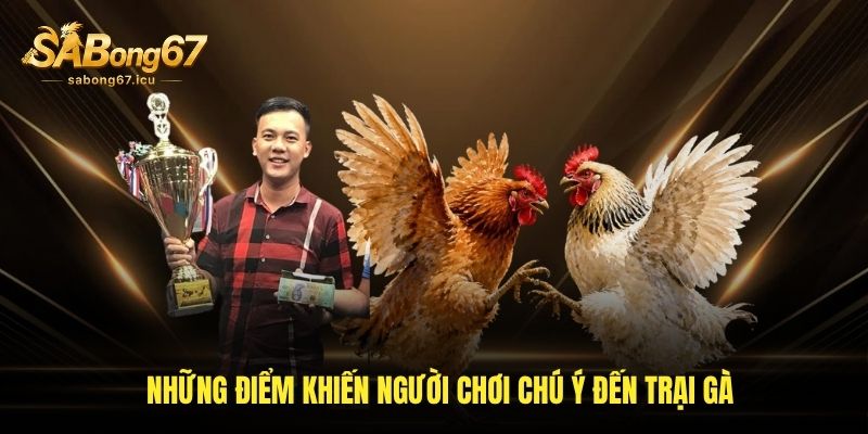 Những điểm khiến người chơi chú ý đến trại gà