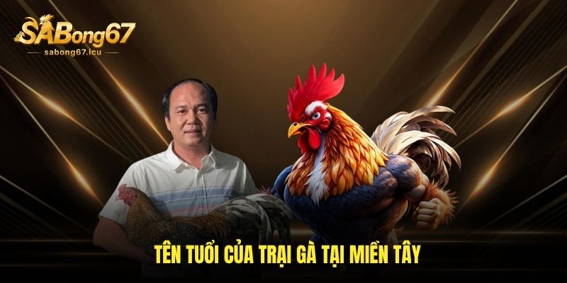 Tên tuổi của trại gà tại miền Tây