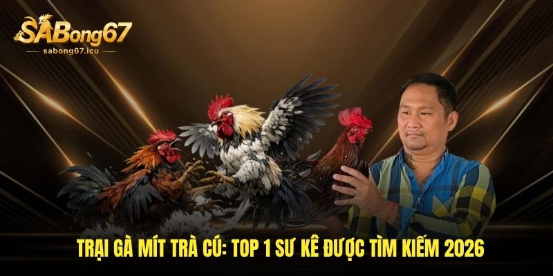 Trại Gà Mít Trà Cú - Cùng Sabong67 Khám Phá Dàn Kê Hot Tháng 8