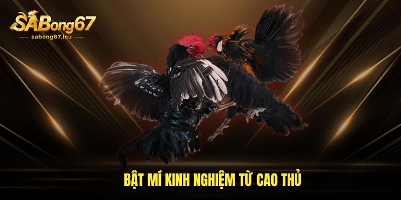 Bật mí kinh nghiệm từ cao thủ