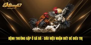 benh thuong gap o ga da dau hieu nhan biet de dieu tri