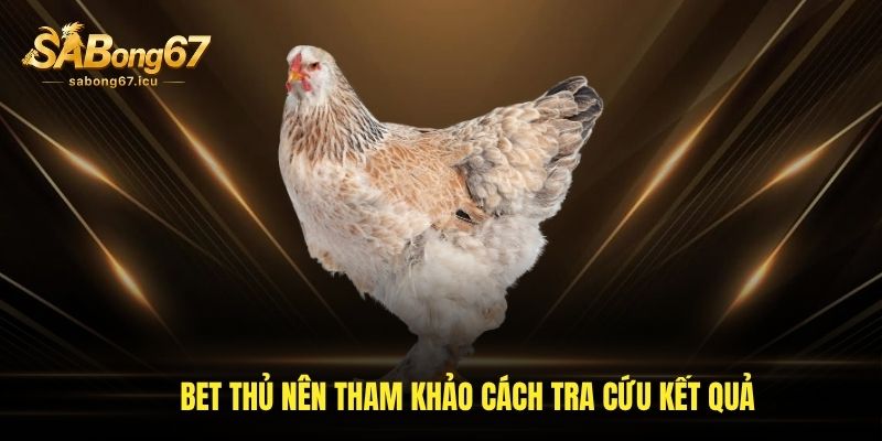 Bet thủ nên tham khảo cách tra cứu kết quả