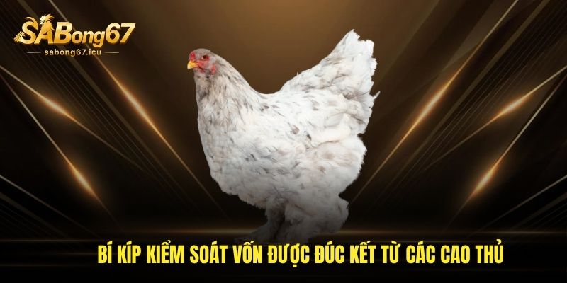 Bí kíp kiểm soát vốn được đúc kết từ các cao thủ