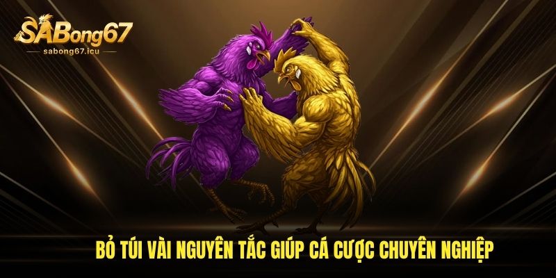 Bỏ túi vài nguyên tắc giúp cá cược chuyên nghiệp Bỏ túi vài nguyên tắc giúp cá cược chuyên nghiệp