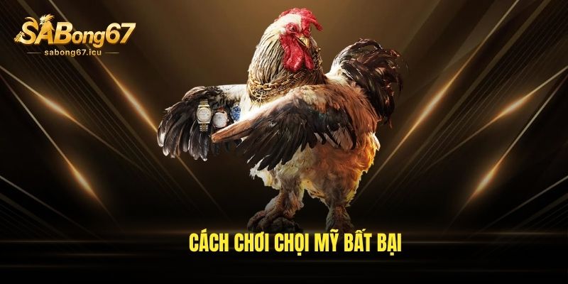 Cách chơi chọi Mỹ bất bại Cách chơi chọi Mỹ bất bại