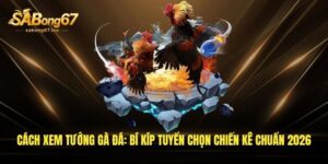 cach xem tuong ga da bi kip tuyen chon chien ke chuan 2026 1