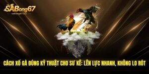 cach xo ga dung ky thuat cho su ke len luc nhanh khong lo rot