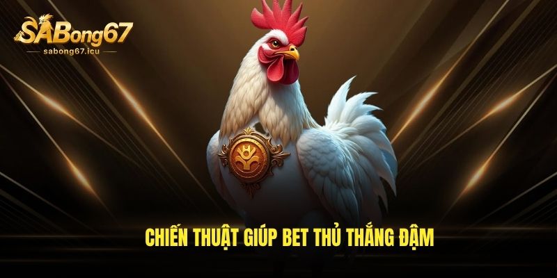 Chiến thuật giúp bet thủ thắng đậm Chiến thuật giúp bet thủ thắng đậm