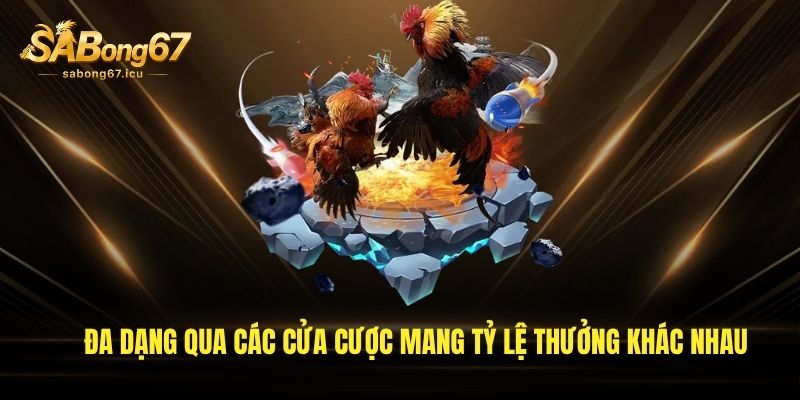 Đa dạng qua các cửa cược mang tỷ lệ thưởng khác nhau Đa dạng qua các cửa cược mang tỷ lệ thưởng khác nhau