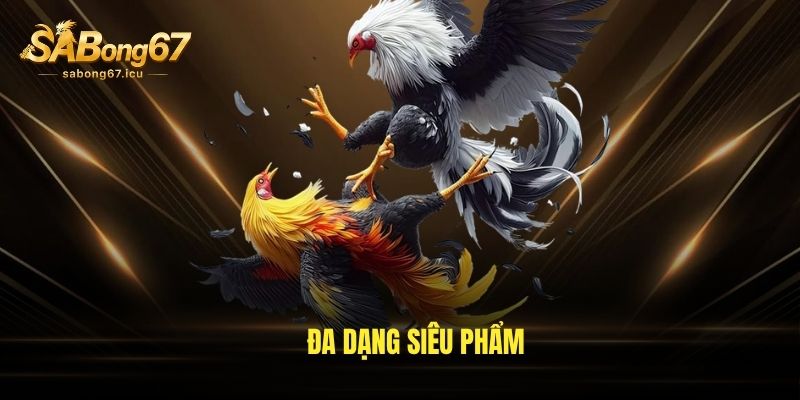Đa dạng siêu phẩm