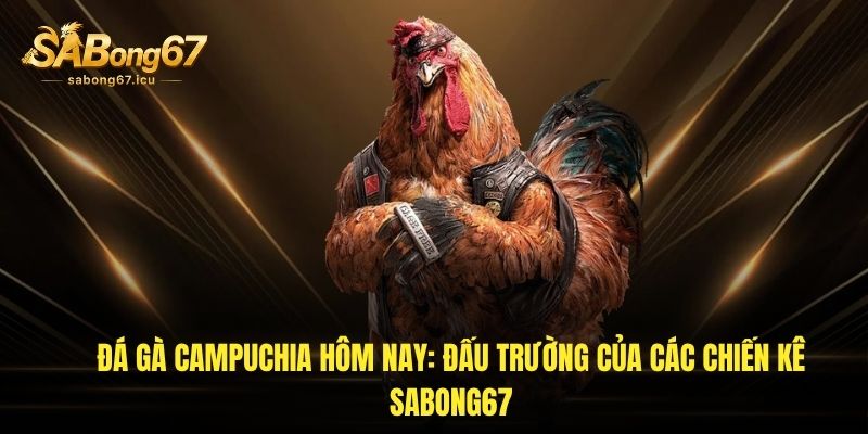 da ga campuchia hom nay dau truong cua cac chien ke sabong67 1