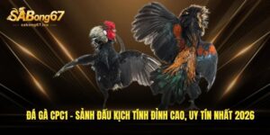 da ga cpc1 sanh dau kich tinh dinh cao uy tin nhat 2026