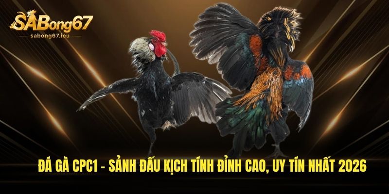 Đá Gà CPC1 - Sảnh Đấu Kịch Tính Đỉnh Cao, Uy Tín Nhất 2026 1 da ga cpc1 sanh dau kich tinh dinh cao uy tin nhat 2026
