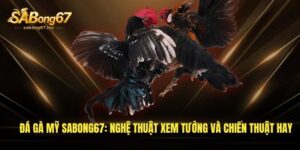 da ga my sabong67 nghe thuat xem tuong va chien thuat hay 1