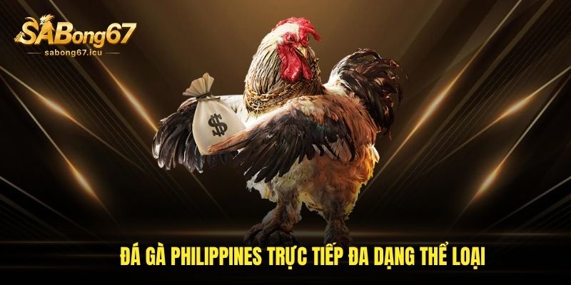 Đá gà Philippines trực tiếp đa dạng thể loại
