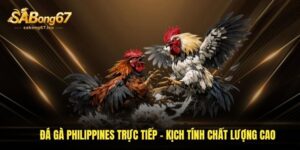 da ga philippines truc tiep kich tinh chat luong cao