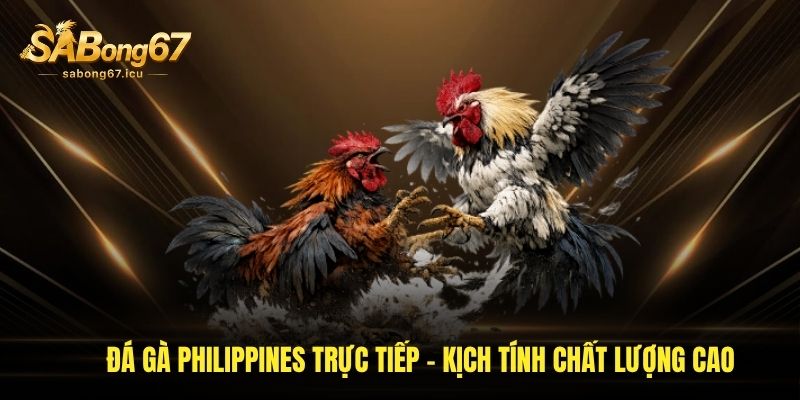 da ga philippines truc tiep kich tinh chat luong cao