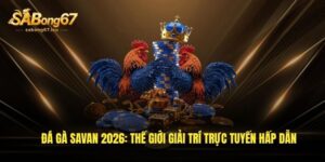 da ga savan 2026 the gioi giai tri truc tuyen hap dan 1
