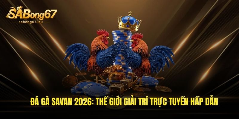 Đá Gà Savan 2026: Thế Giới Giải Trí Trực Tuyến Hấp Dẫn 1 da ga savan 2026 the gioi giai tri truc tuyen hap dan 1