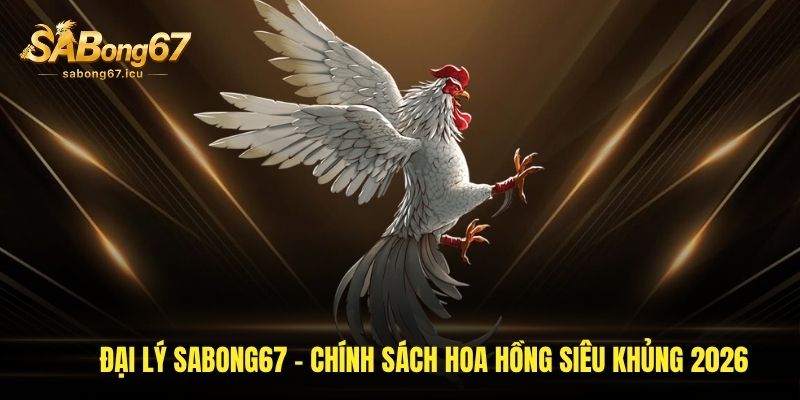Đại Lý Sabong67 - Chính Sách Hoa Hồng Siêu Khủng 2026 1 dai ly sabong67 chinh sach hoa hong sieu khung 2026