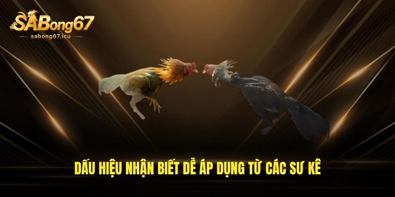 Dấu hiệu nhận biết dễ áp dụng từ các sư kê