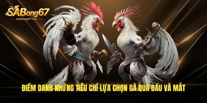 Điểm danh những tiêu chí lựa chọn gà qua đầu và mắt