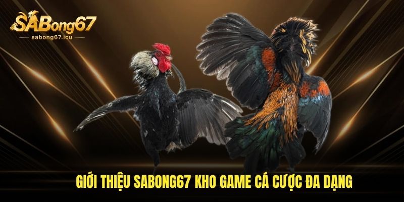 Giới thiệu sabong67 kho game cá cược đa dạng, có một không hai