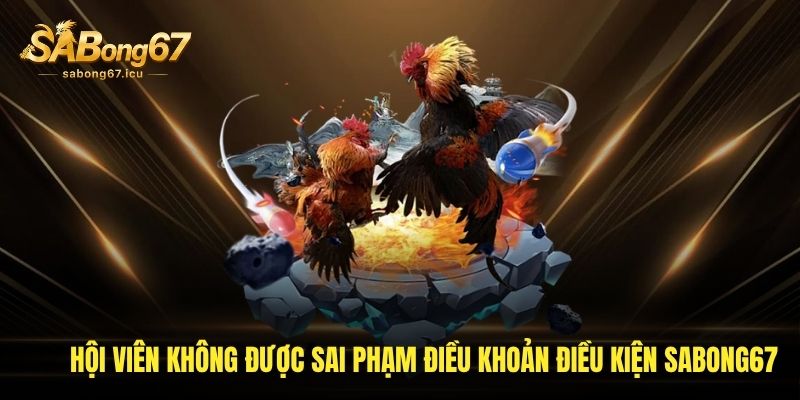 Hội viên không được sai phạm điều khoản điều kiện sabong67 Hội viên không được sai phạm điều khoản điều kiện sabong67
