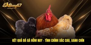 ket qua da ga hom nay tinh chinh xac cao xanh chin