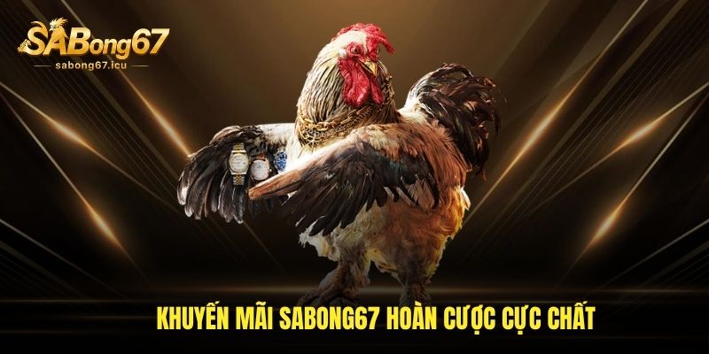 Khuyến mãi Sabong67 hoàn cược cực chất
