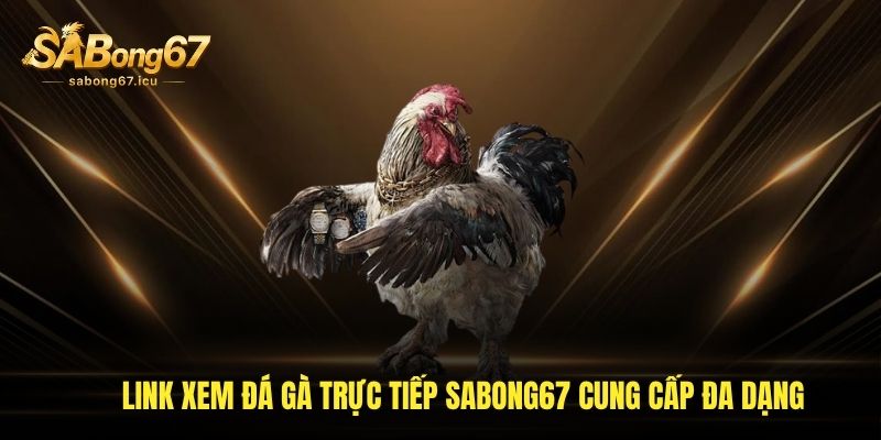 Link xem đá gà trực tiếp sabong67 cung cấp đa dạng Link xem đá gà trực tiếp sabong67 cung cấp đa dạng