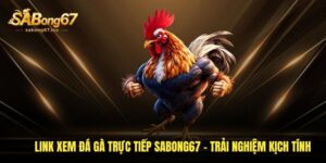 link xem da ga truc tiep sabong67 trai nghiem kich tinh