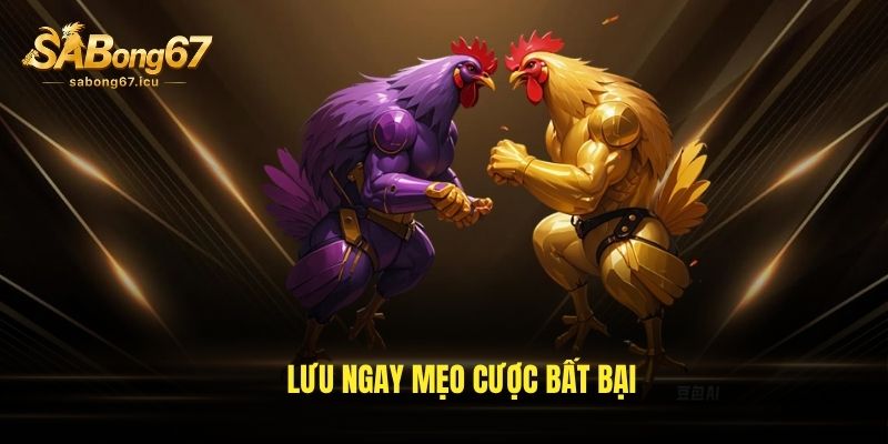Lưu ngay mẹo cược bất bại Lưu ngay mẹo cược bất bại