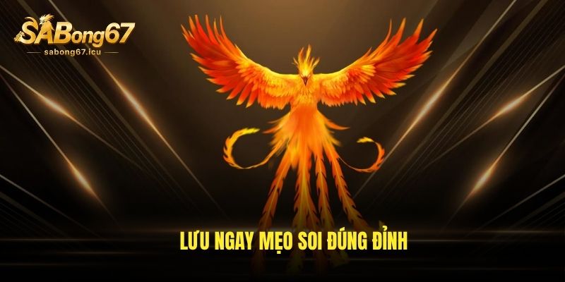 Lưu ngay mẹo soi đúng đỉnh