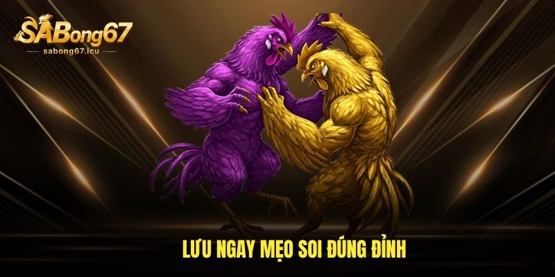 Lưu ngay mẹo soi đúng đỉnh Lưu ngay mẹo soi đúng đỉnh