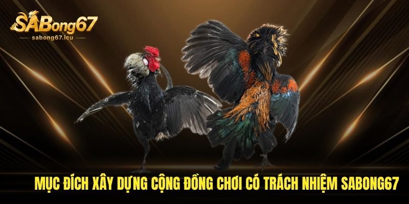 Một số công cụ giúp bet thủ kiểm soát được bản thân Một số công cụ giúp bet thủ kiểm soát được bản thân