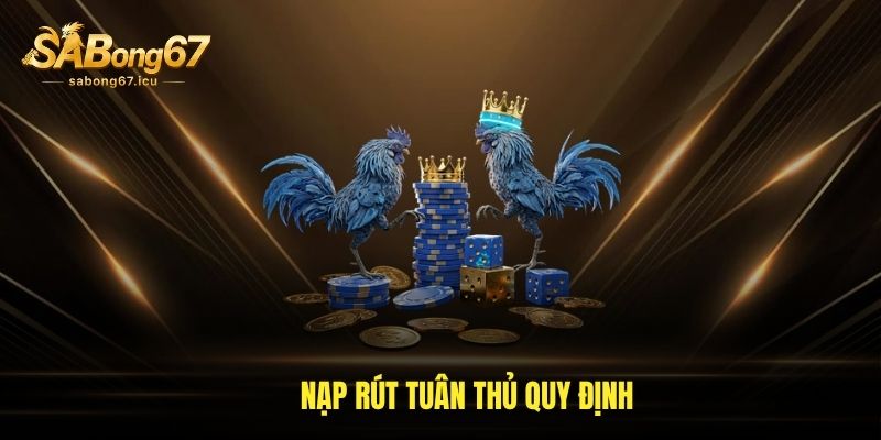 Nạp rút tuân thủ quy định Nạp rút tuân thủ quy định