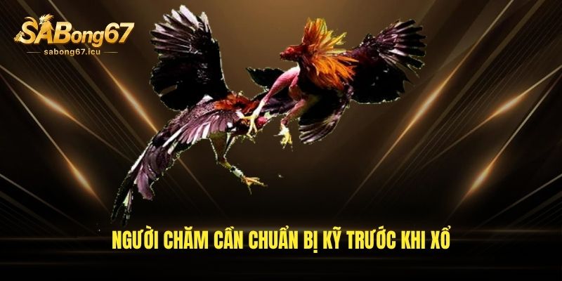 Người chăm cần chuẩn bị kỹ trước khi xổ