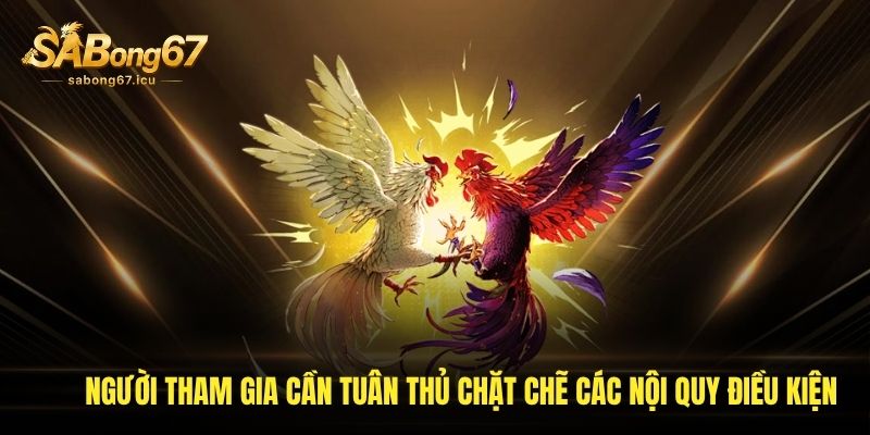 Người tham gia cần tuân thủ chặt chẽ các nội quy điều kiện