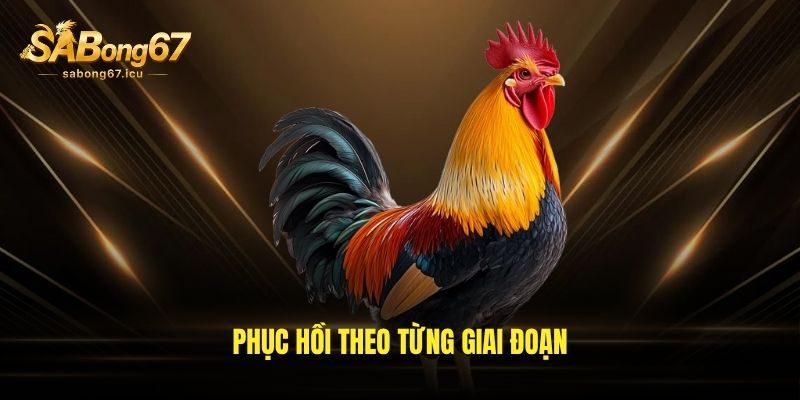 Phục hồi theo từng giai đoạn