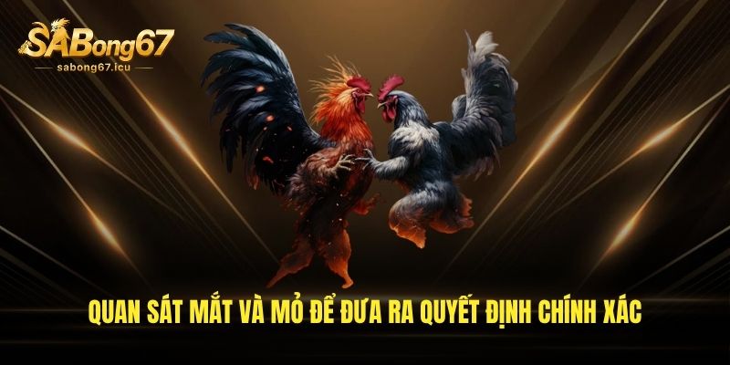 Quan sát mắt và mỏ để đưa ra quyết định chính xác