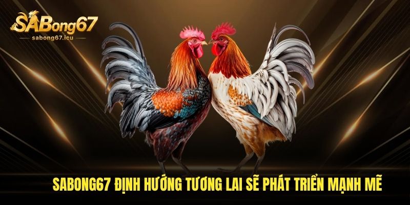 sabong67 định hướng tương lai sẽ phát triển mạnh mẽ
