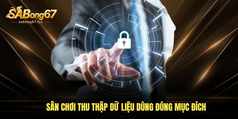 Sân chơi thu thập dữ liệu dùng đúng mục đích Sân chơi thu thập dữ liệu dùng đúng mục đích