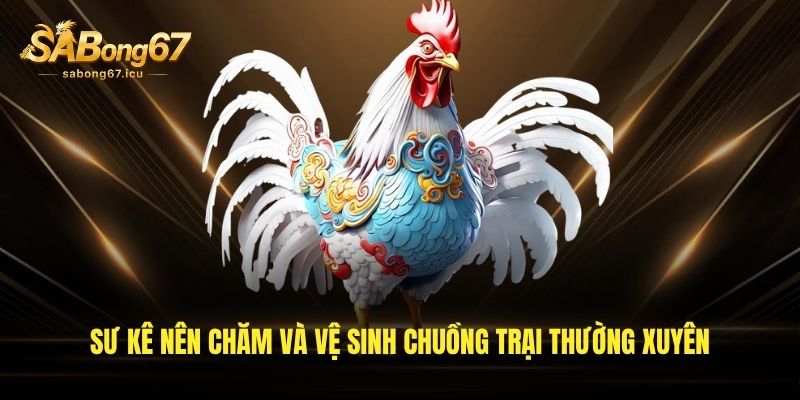 Sư kê nên chăm và vệ sinh chuồng trại thường xuyên Sư kê nên chăm và vệ sinh chuồng trại thường xuyên