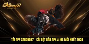 tai-app-sabong67