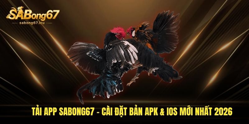 Tải App Sabong67 - Cài Đặt Bản APK & IOS Mới Nhất 2026 1 tai-app-sabong67